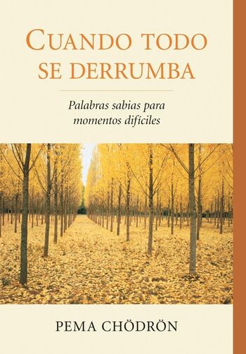 Cuando Todo Se Derrumba (Resumen) Puntos Clave