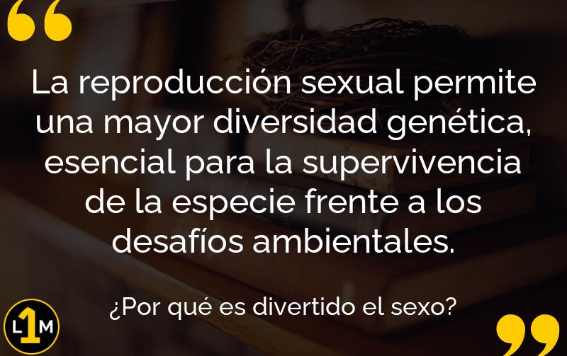 ¿Por Qué Es Divertido El Sexo? (Resumen) Resumen Corto